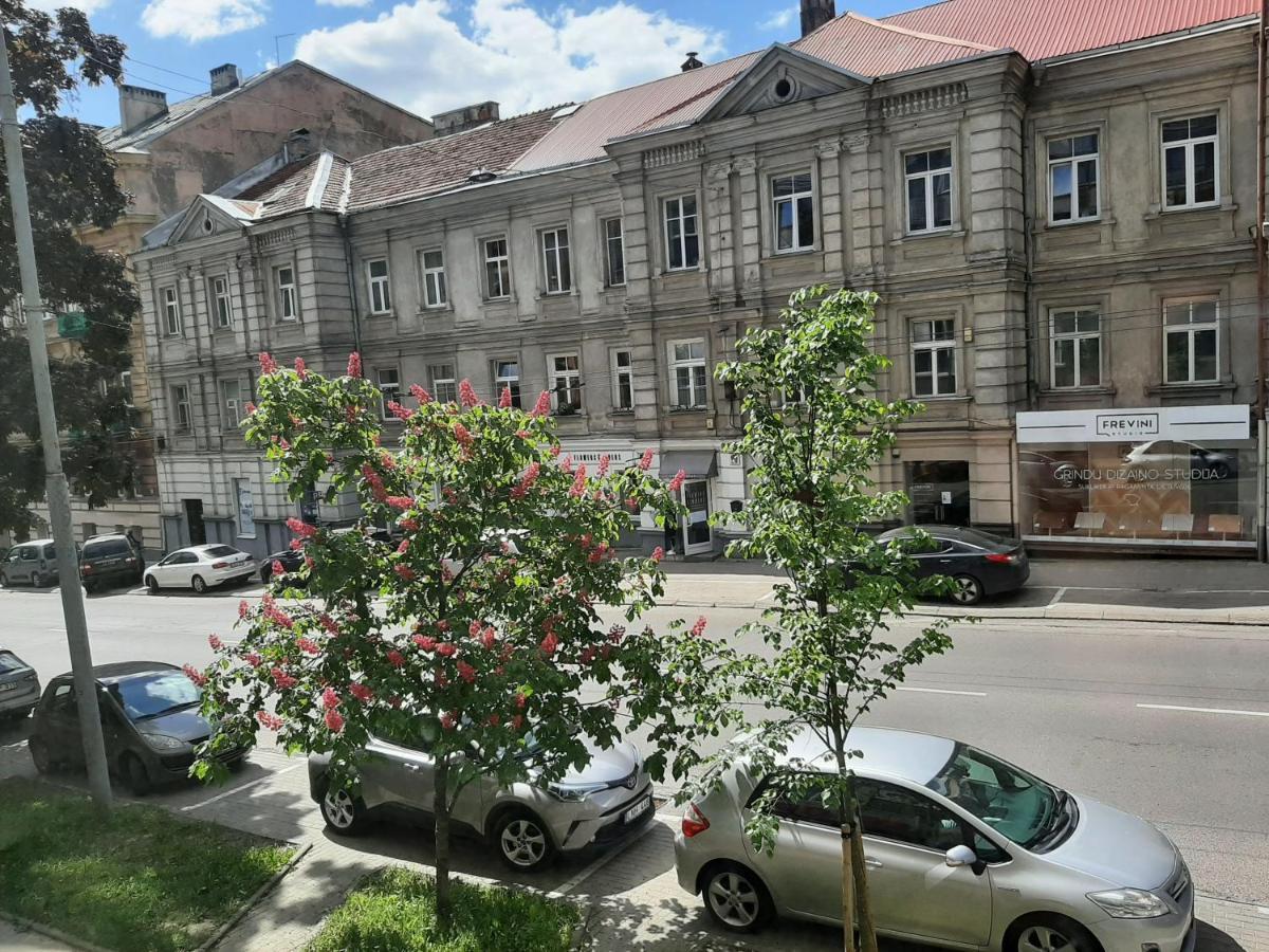 Centrally Located Cosy Studio Vilnius Exterior photo